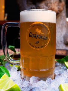 guayacan, golden, antofagasta, craft, beer, bares, pub,